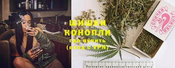 трава Аркадак