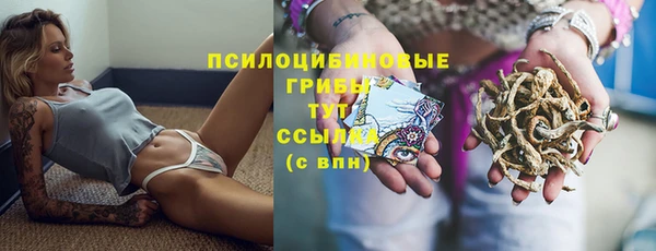 трава Аркадак